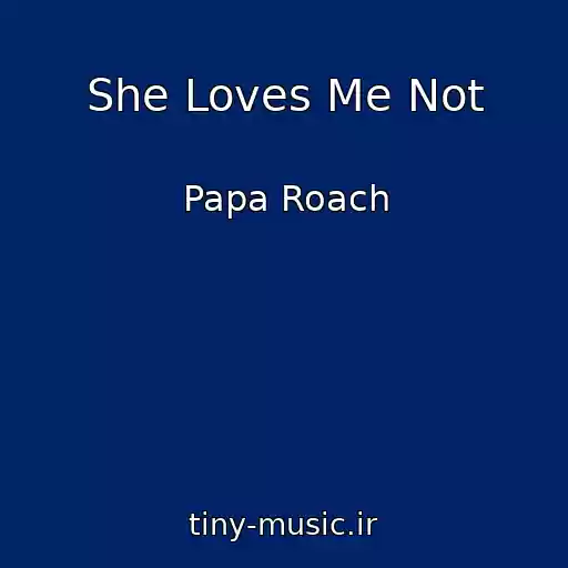 کاور آهنگ She Loves Me Not از Papa Roach