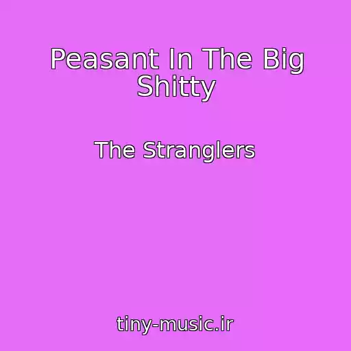 کاور آهنگ Peasant In The Big Shitty از The Stranglers