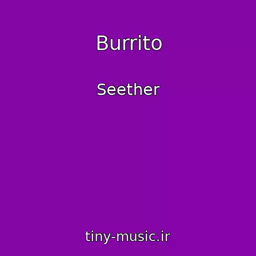 کاور آهنگ Burrito از Seether