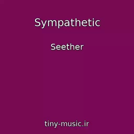 کاور آهنگ Sympathetic از Seether