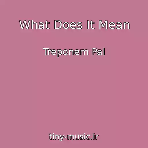 کاور آهنگ What Does It Mean از Treponem Pal