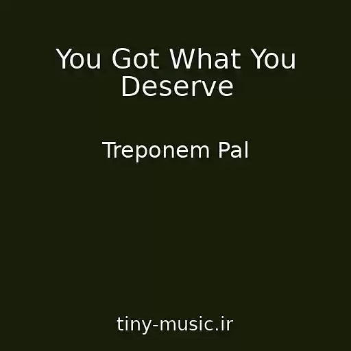 کاور آهنگ You Got What You Deserve از Treponem Pal