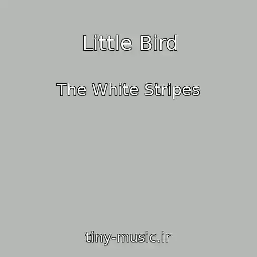کاور آهنگ Little Bird از The White Stripes