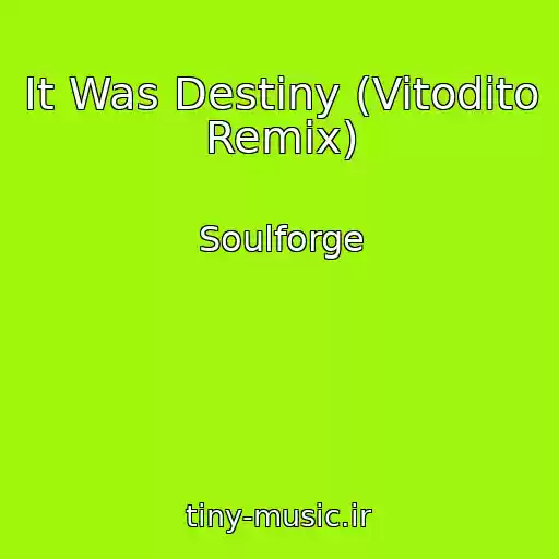 کاور آهنگ It Was Destiny (Vitodito Remix) از Soulforge