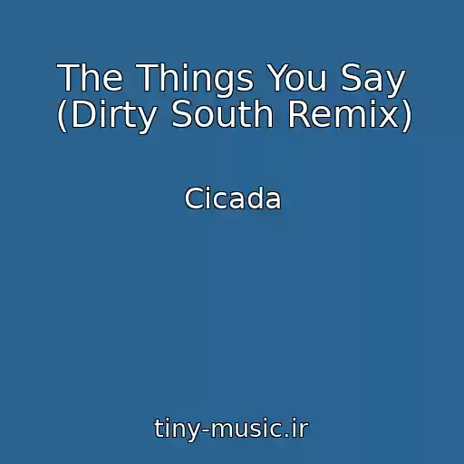 کاور آهنگ The Things You Say (Dirty South Remix) از Cicada