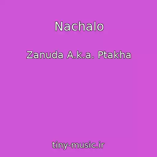 کاور آهنگ Nachalo از Zanuda A.k.a. Ptakha