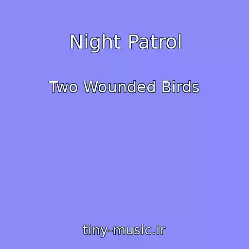 کاور آهنگ Night Patrol از Two Wounded Birds