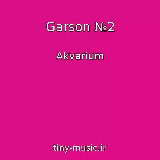 کاور آهنگ Garson №2 از Akvarium