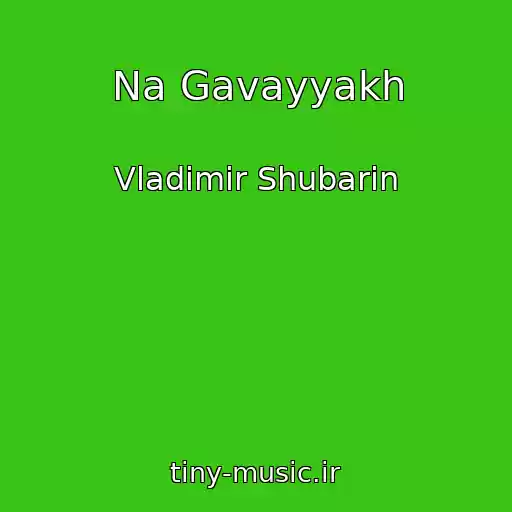 کاور آهنگ Na Gavayyakh از Vladimir Shubarin