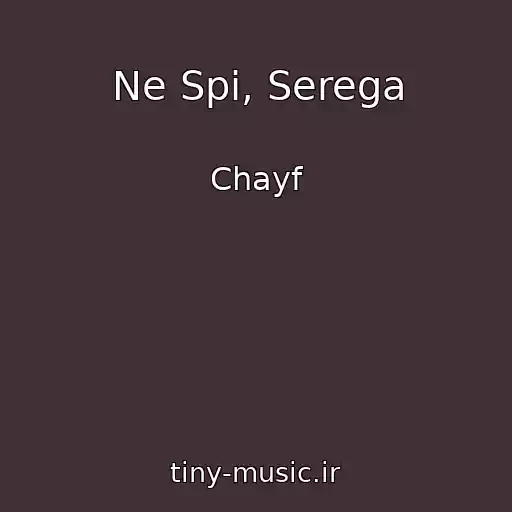 کاور آهنگ Ne Spi, Serega از Chayf