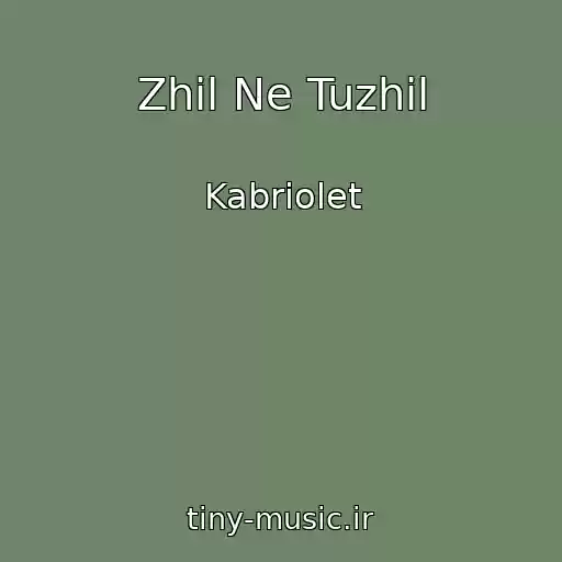 کاور آهنگ Zhil Ne Tuzhil از Kabriolet