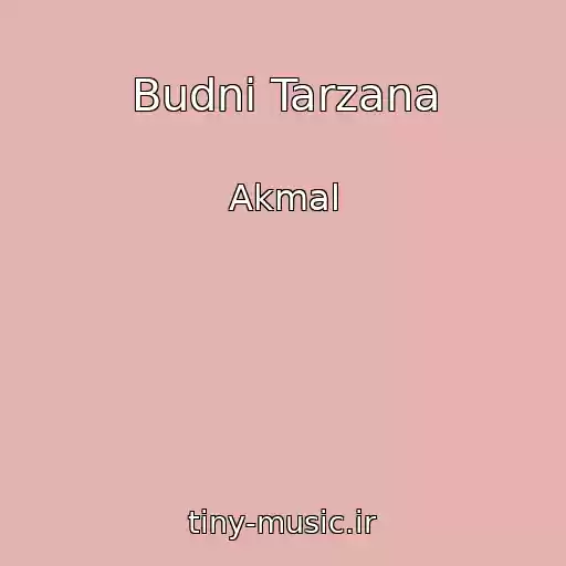 کاور آهنگ Budni Tarzana از Akmal
