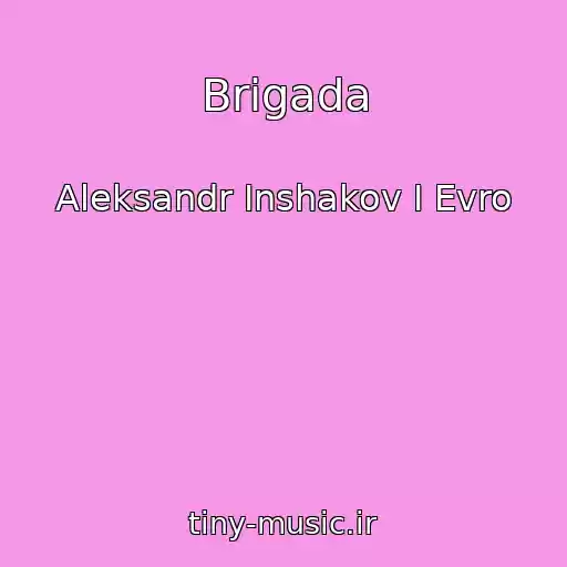 کاور آهنگ Brigada از Aleksandr Inshakov I Evro