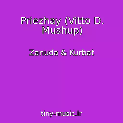 کاور آهنگ Priezhay (Vitto D. Mushup) از Zanuda & Kurbat
