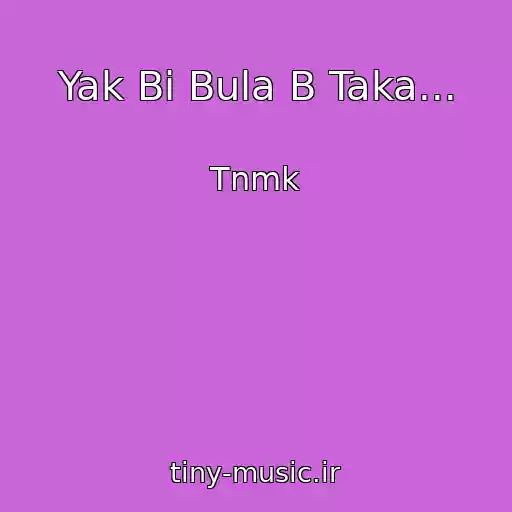 کاور آهنگ Yak Bi Bula B Taka... از Tnmk