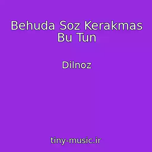 کاور آهنگ Behuda Soz Kerakmas Bu Tun از Dilnoz