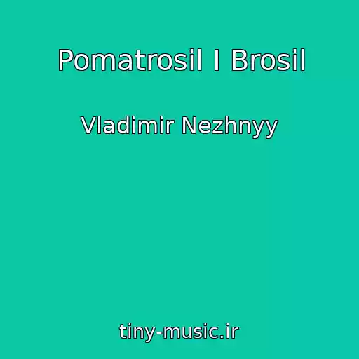 کاور آهنگ Pomatrosil I Brosil از Vladimir Nezhnyy