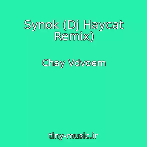 کاور آهنگ Synok (Dj Haycat Remix) از Chay Vdvoem
