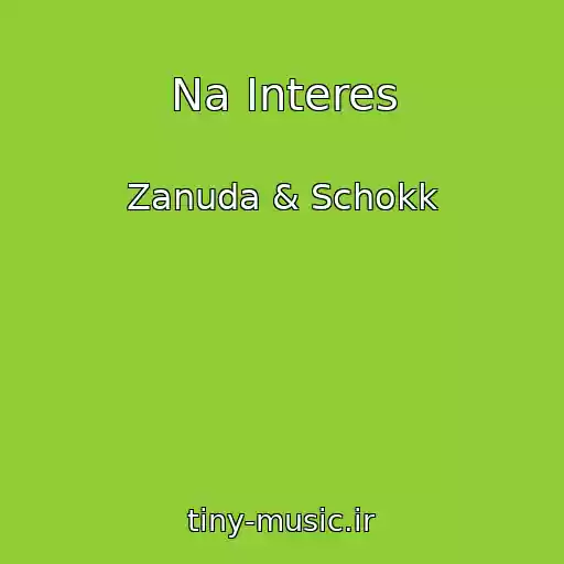 کاور آهنگ Na Interes از Zanuda & Schokk