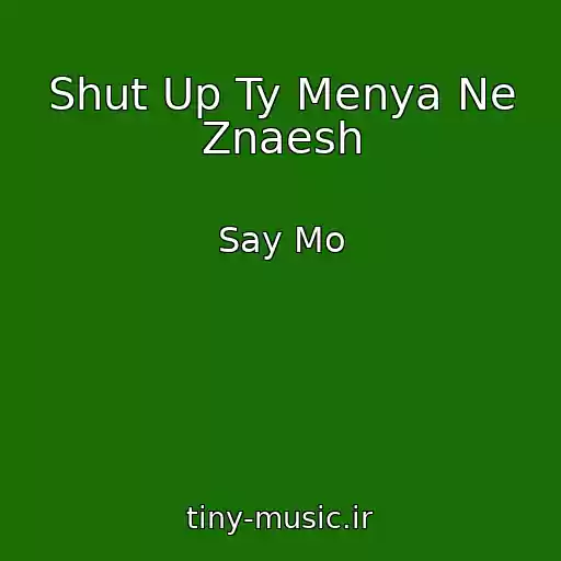 کاور آهنگ Shut Up Ty Menya Ne Znaesh از Say Mo