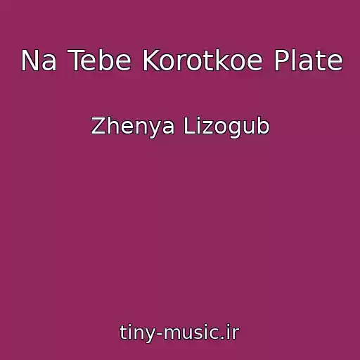 کاور آهنگ Na Tebe Korotkoe Plate از Zhenya Lizogub