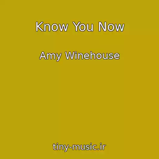 کاور آهنگ Know You Now از Amy Winehouse