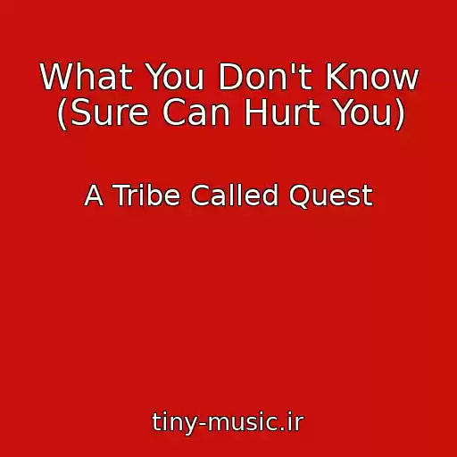 کاور آهنگ What You Don't Know (Sure Can Hurt You) از A Tribe Called Quest