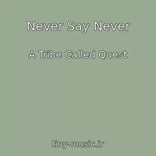 کاور آهنگ Never Say Never از A Tribe Called Quest