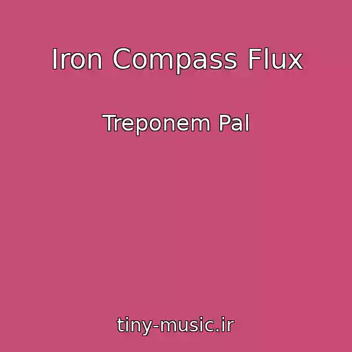 کاور آهنگ Iron Compass Flux از Treponem Pal
