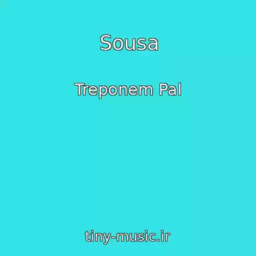 کاور آهنگ Sousa از Treponem Pal