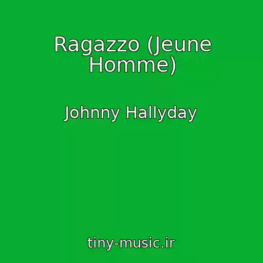 کاور آهنگ Ragazzo (Jeune Homme) از Johnny Hallyday