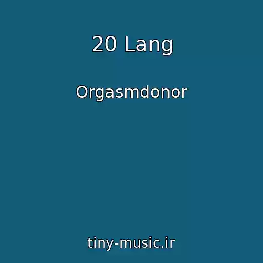 کاور آهنگ 20 Lang از Orgasmdonor