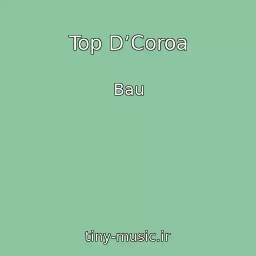 کاور آهنگ Top D’Coroa از Bau