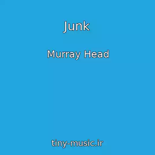 کاور آهنگ Junk از Murray Head