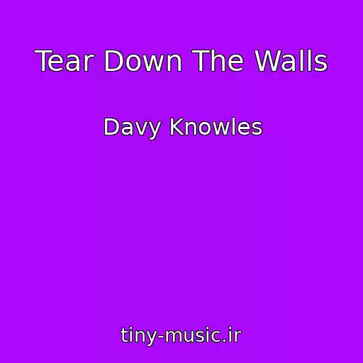 کاور آهنگ Tear Down The Walls از Davy Knowles