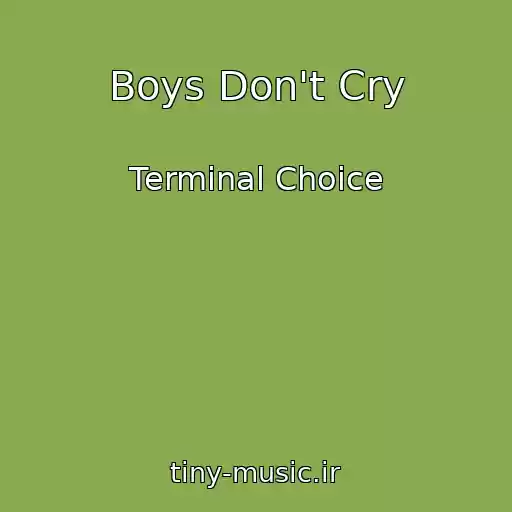 کاور آهنگ Boys Don't Cry از Terminal Choice
