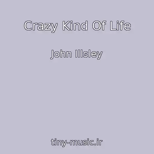 کاور آهنگ Crazy Kind Of Life از John Illsley