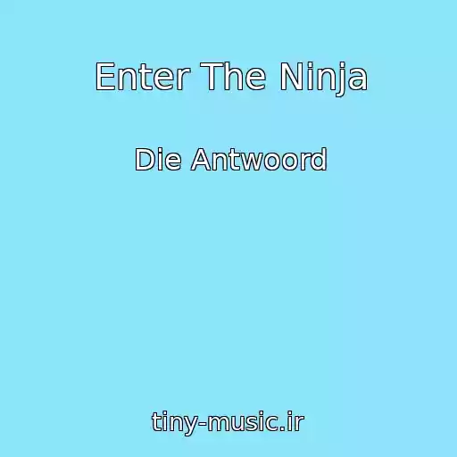 کاور آهنگ Enter The Ninja از Die Antwoord