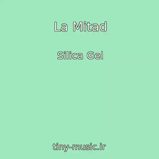 کاور آهنگ La Mitad از Silica Gel