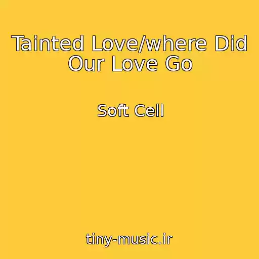 کاور آهنگ Tainted Love/where Did Our Love Go از Soft Cell
