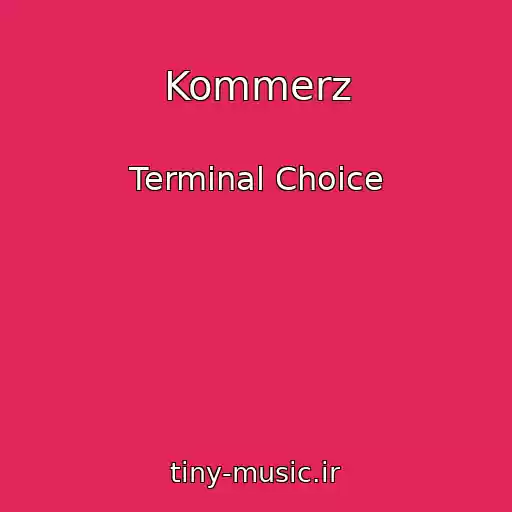 کاور آهنگ Kommerz از Terminal Choice