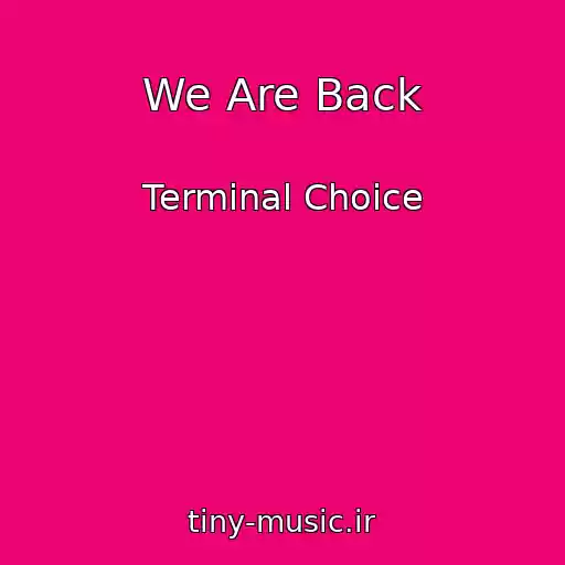 کاور آهنگ We Are Back از Terminal Choice
