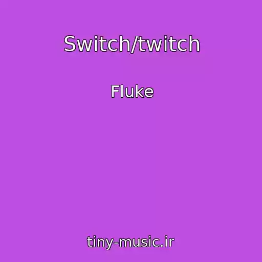 کاور آهنگ Switch/twitch از Fluke
