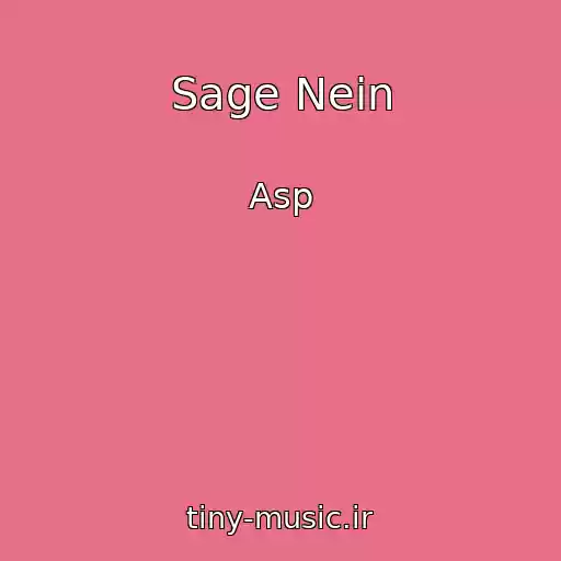 کاور آهنگ Sage Nein از Asp