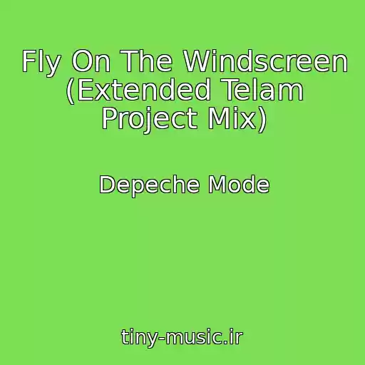 کاور آهنگ Fly On The Windscreen (Extended Telam Project Mix) از Depeche Mode