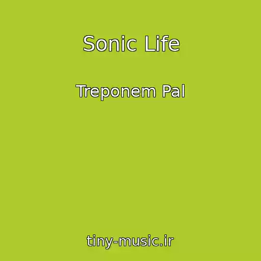 کاور آهنگ Sonic Life از Treponem Pal
