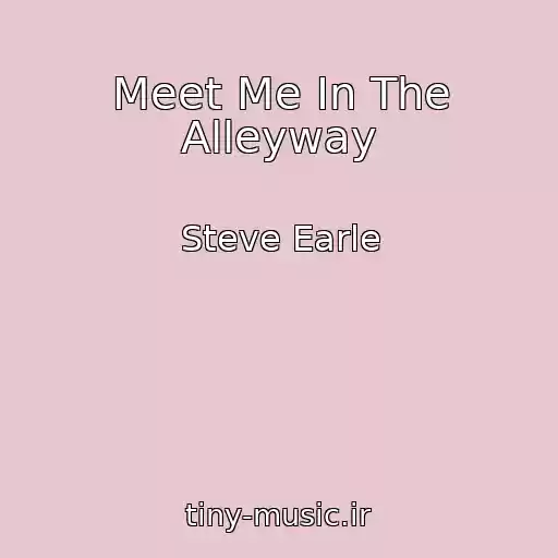 کاور آهنگ Meet Me In The Alleyway از Steve Earle