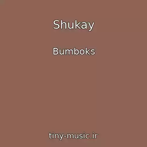 کاور آهنگ Shukay از Bumboks
