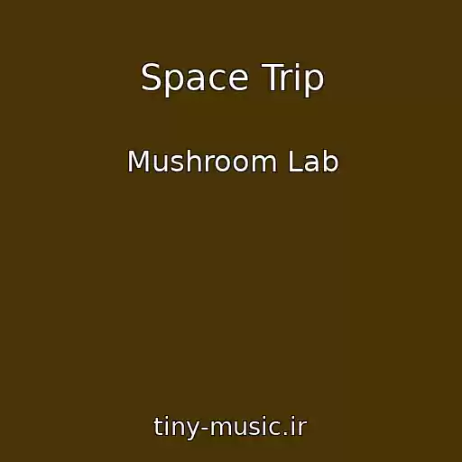 کاور آهنگ Space Trip از Mushroom Lab