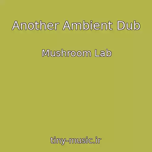 کاور آهنگ Another Ambient Dub از Mushroom Lab